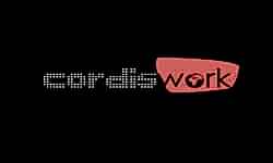 CORDİSWORK PETROL KİMYA                     