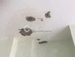 Tavandan Su Akması Nasıl Önlenir?